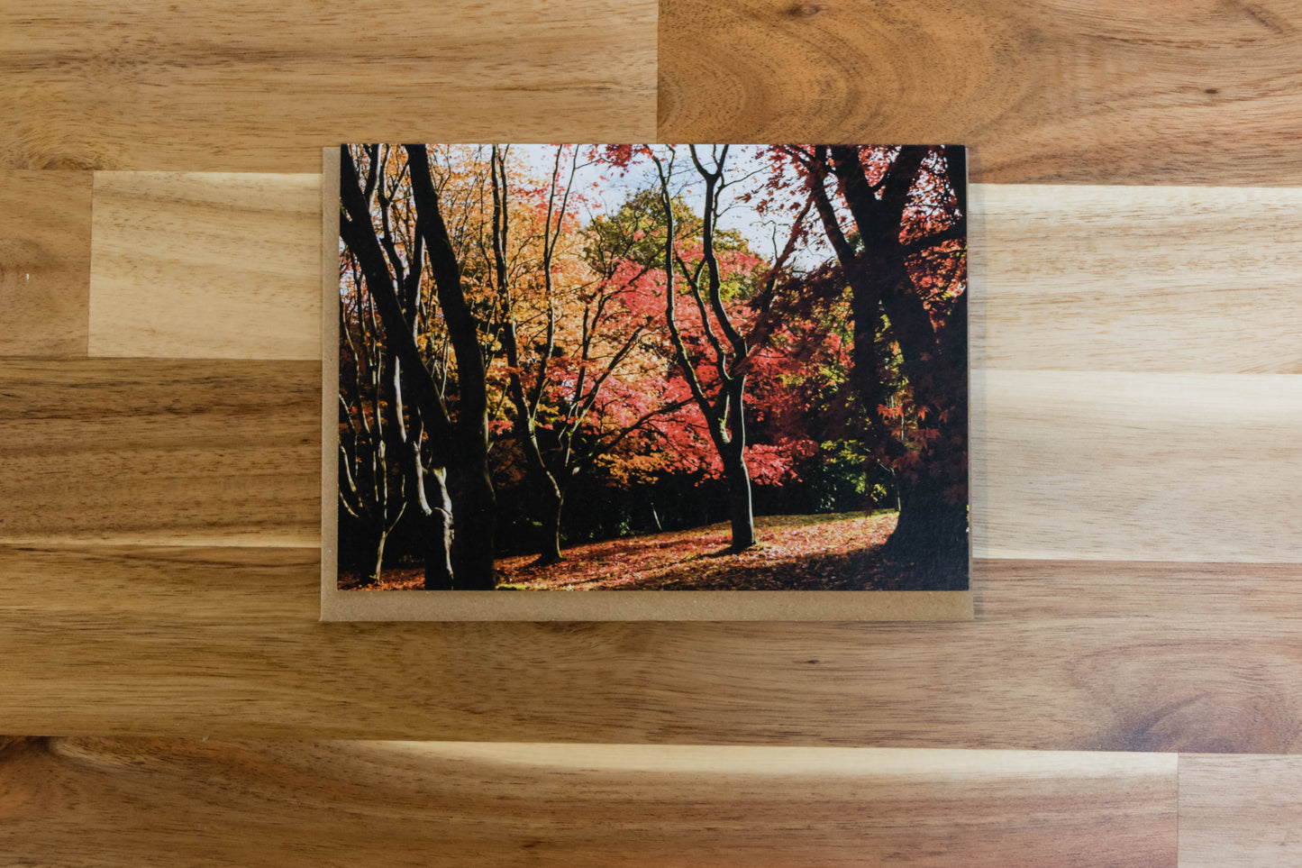 Acers in autumn greeting card
