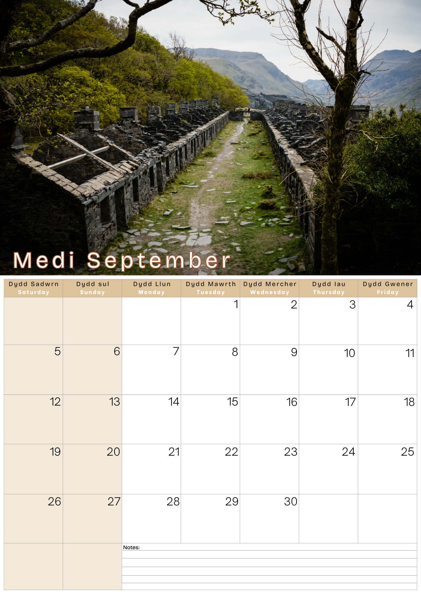 A3 Calendar