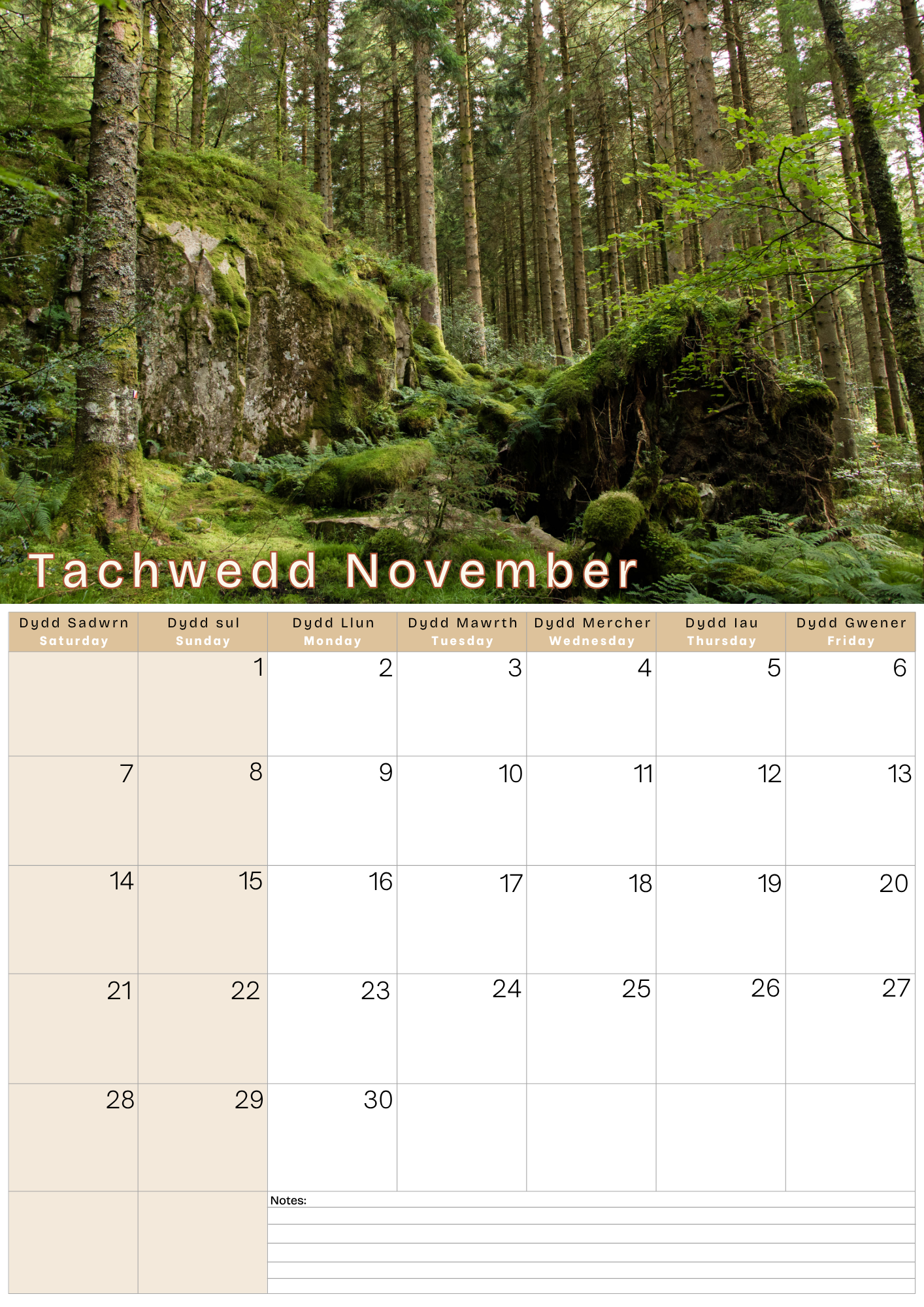 A3 Calendar