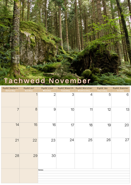A3 Calendar