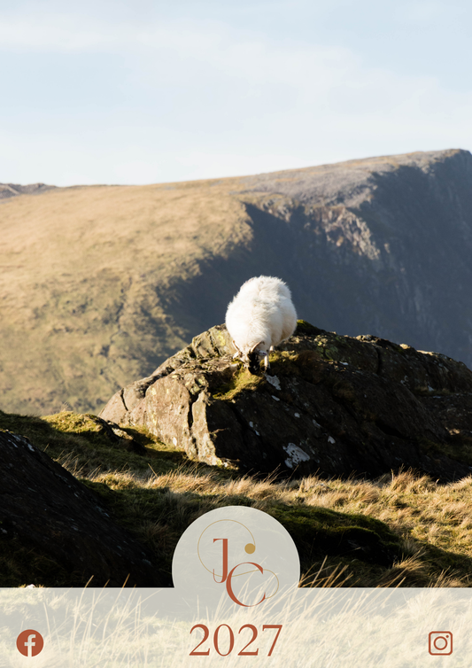 Sheep on a rocky outcrop with a scenic background, featuring the brand 'JC' and the year 2027.