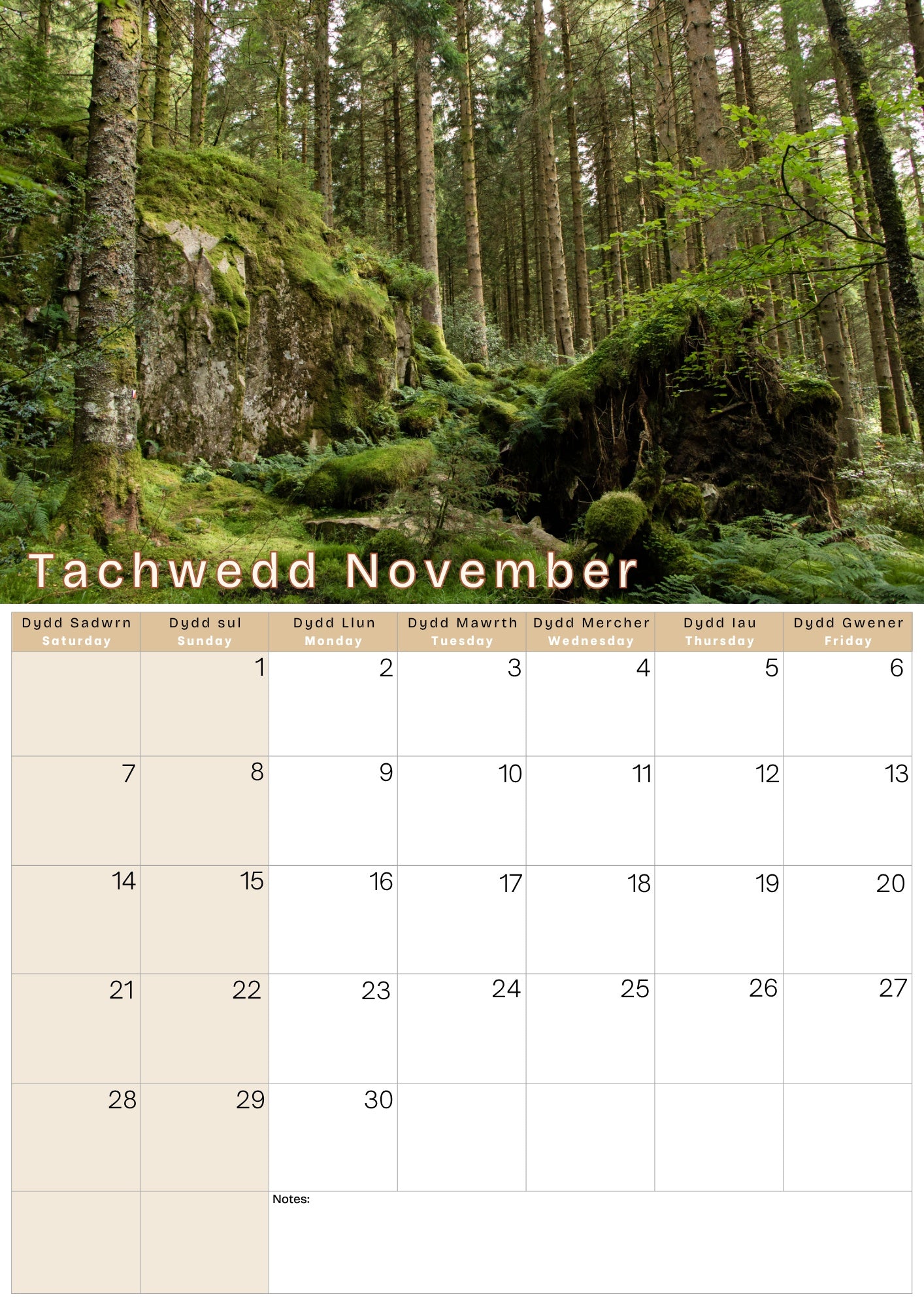A4 Calendar