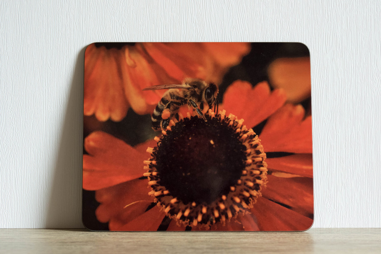 Bees and Birds Placemat Set