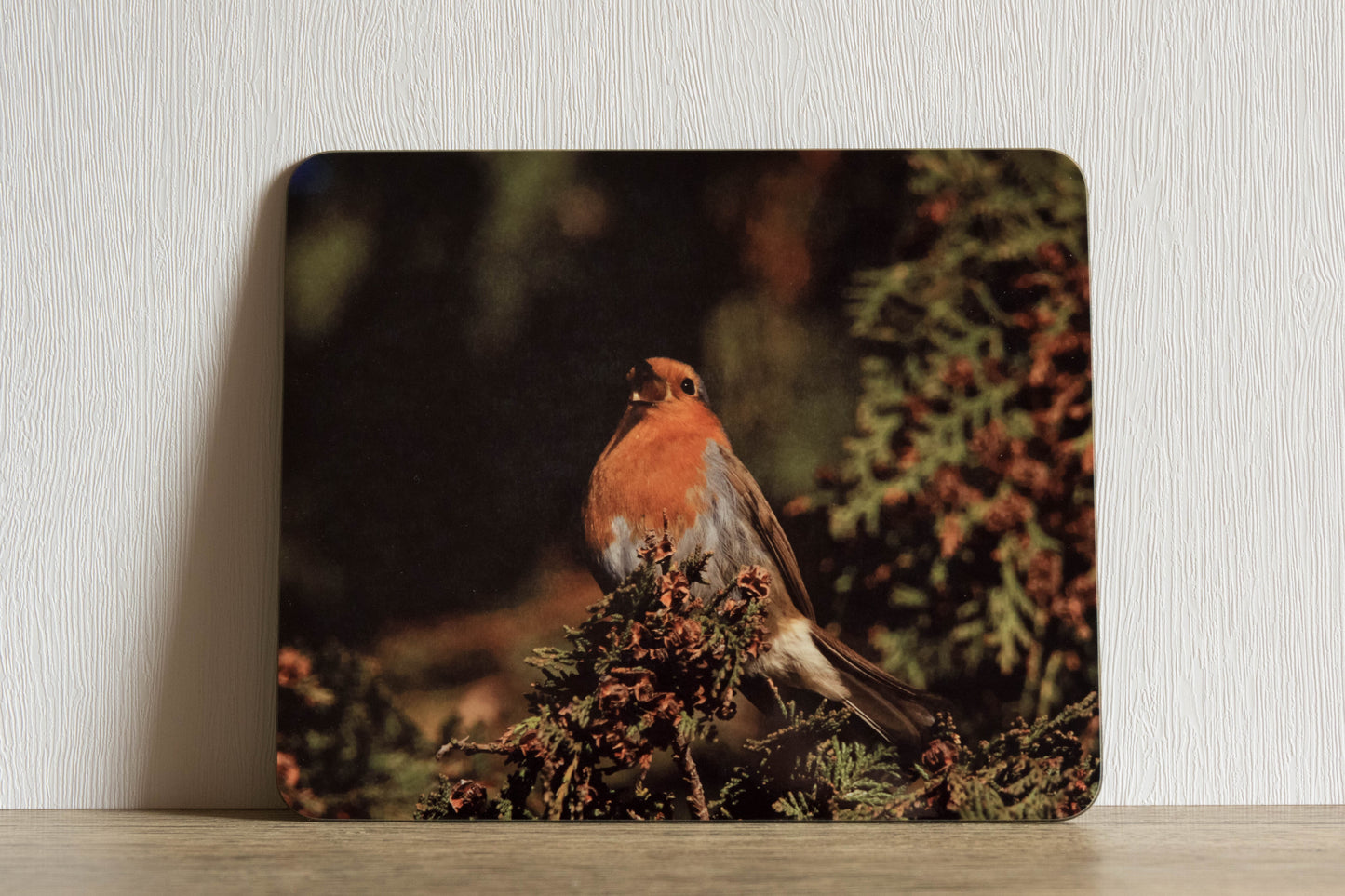 Bees and Birds Placemat Set