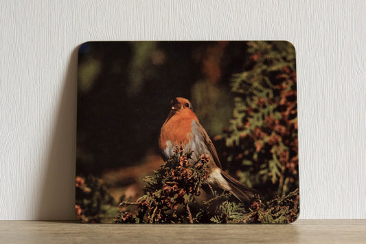 Robin Placemat
