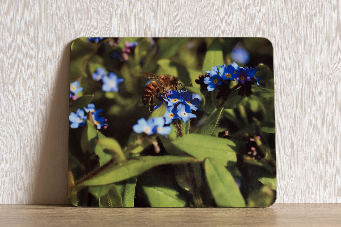 Bees and Birds Placemat Set