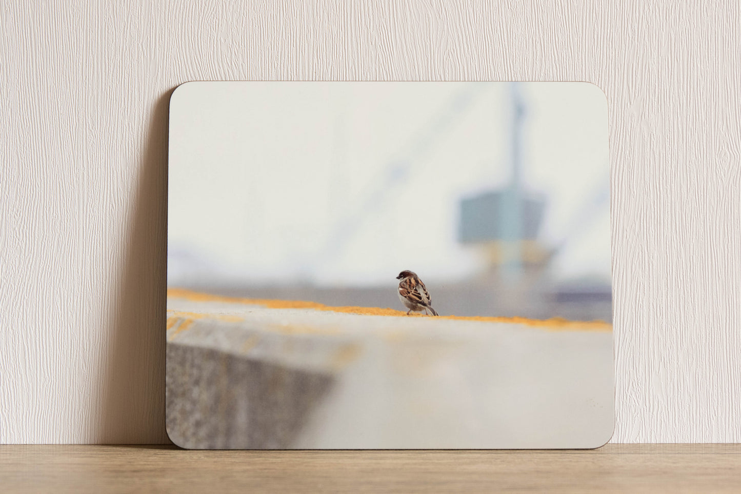 Bees and Birds Placemat Set