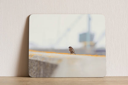 Bees and Birds Placemat Set