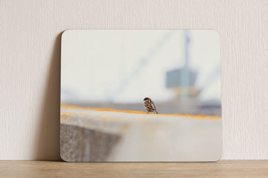 Sparrow Placemat