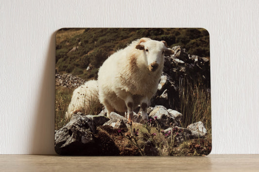 Sheep Placemat