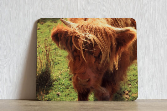 Highland Cattle placemat