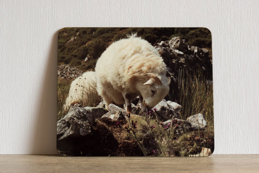 Sheep 2 Placemat