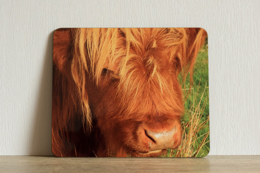 Highland Cattle 2 Placemat