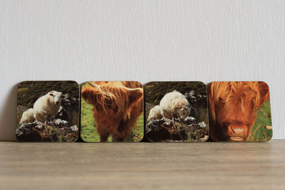 Sheep and Cattle Coaster Set