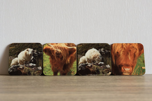 Sheep and Cattle Coaster Set
