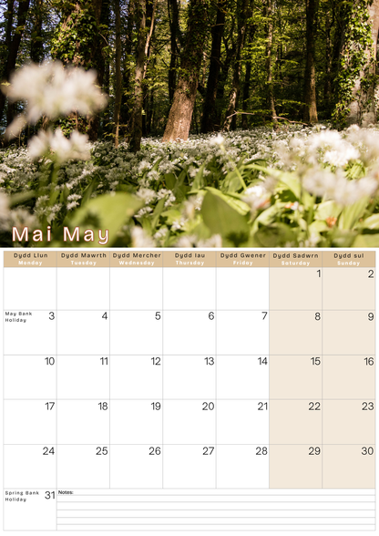 Calendar page for May with a forest and flower background