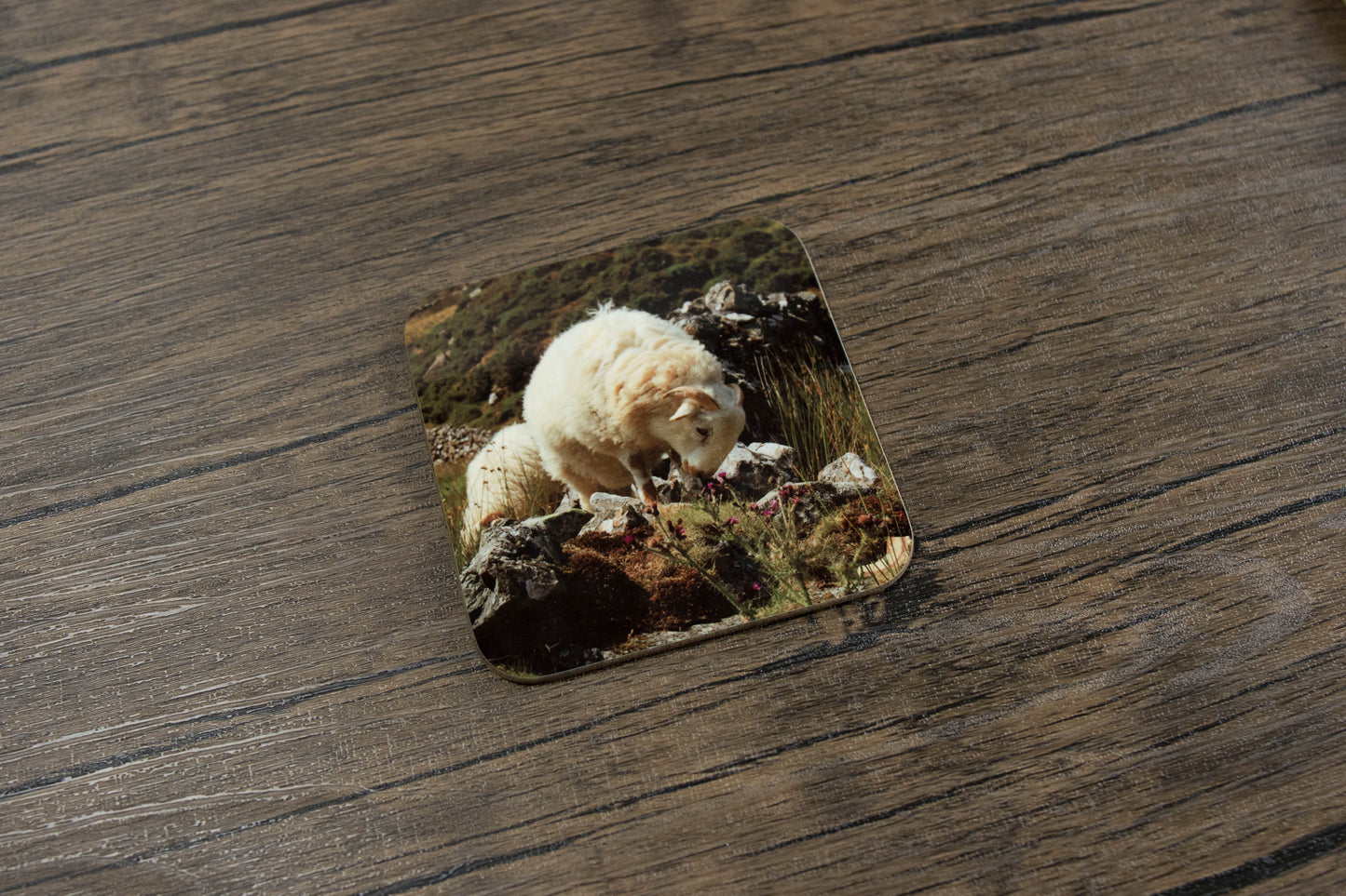 Sheep and Cattle Coaster Set