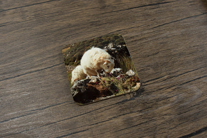 Sheep and Cattle Coaster Set