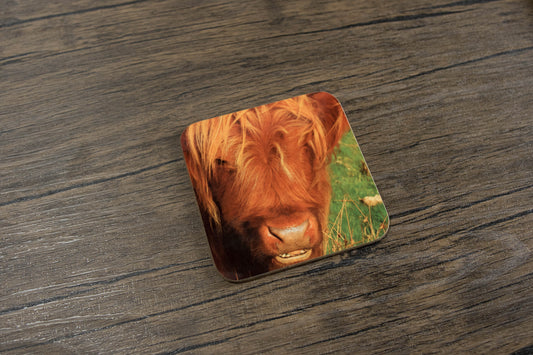Highland Cattle 2 Coaster