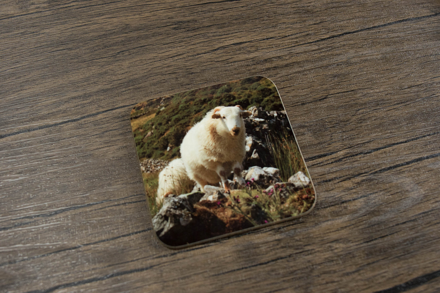 Sheep and Cattle Coaster Set