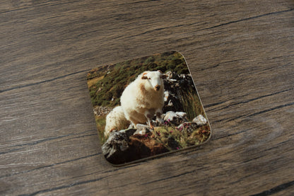 Sheep and Cattle Coaster Set