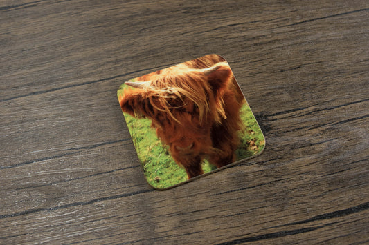 Highland Cattle Coaster
