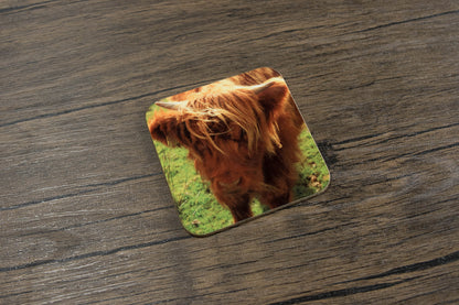 Sheep and Cattle Coaster Set