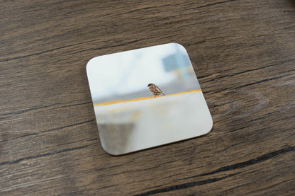 Bees and Birds Coaster set