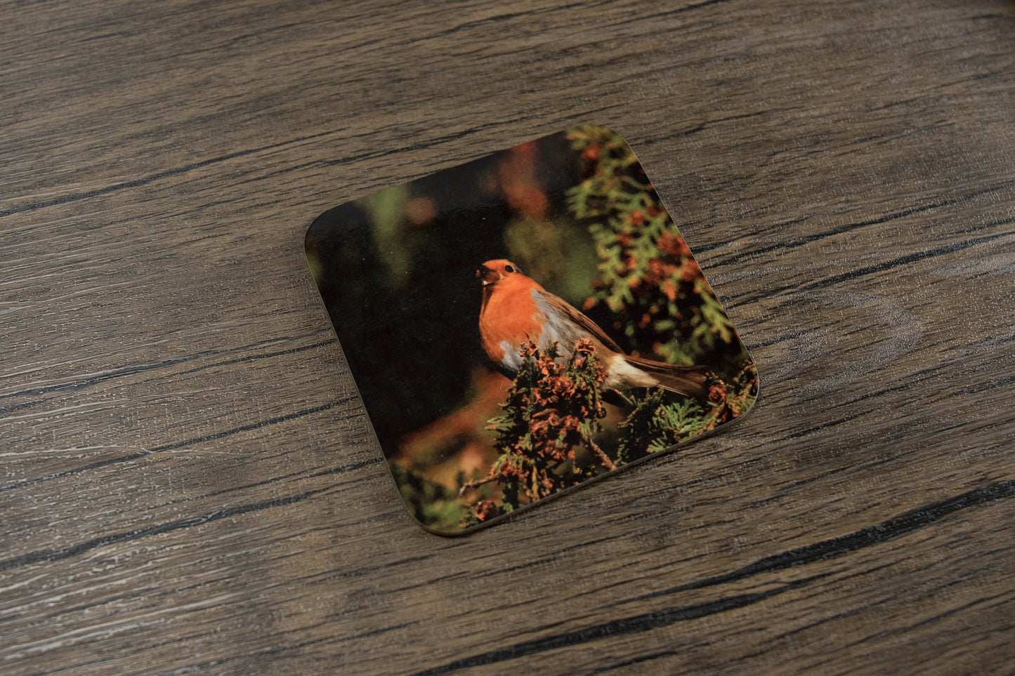 Bees and Birds Coaster set