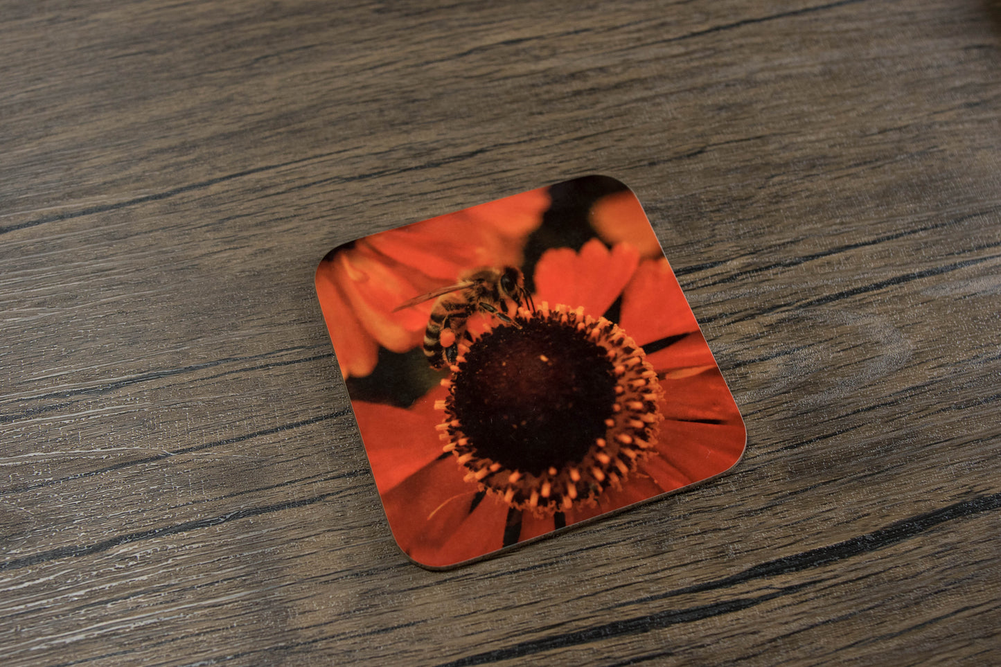 Bees and Birds Coaster set