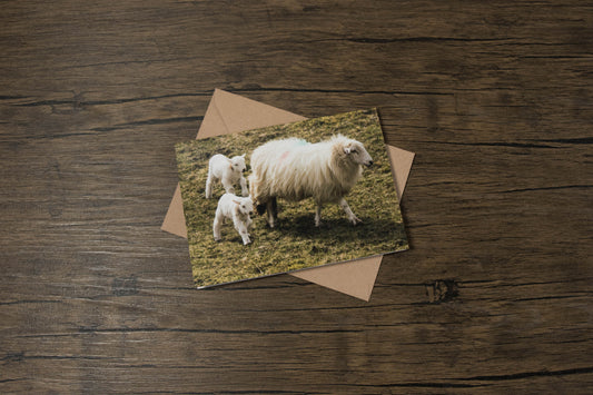 Welsh Mountain Family Greeting Card