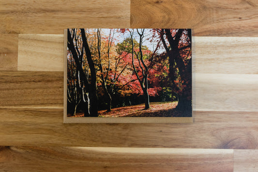 Acers in autumn greeting card