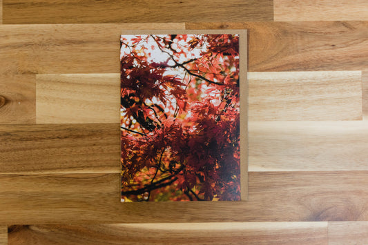 Through the acers greeting card