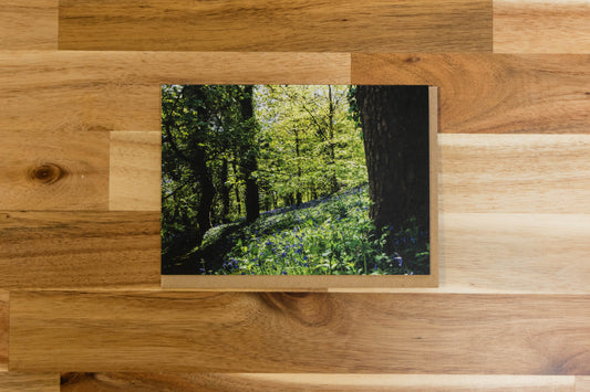 Bluebells greeting card
