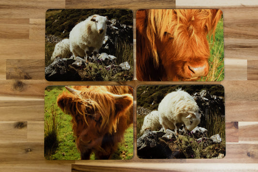 Sheep and Cattle Placemat Set