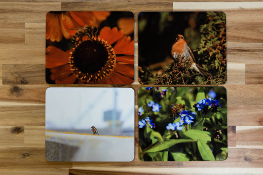 Bees and Birds Placemat Set