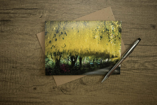 Laburnum arch Greeting card