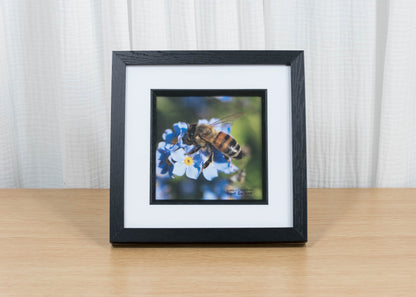 Framed picture of a bee on flowers on a wooden surface with a white curtain background