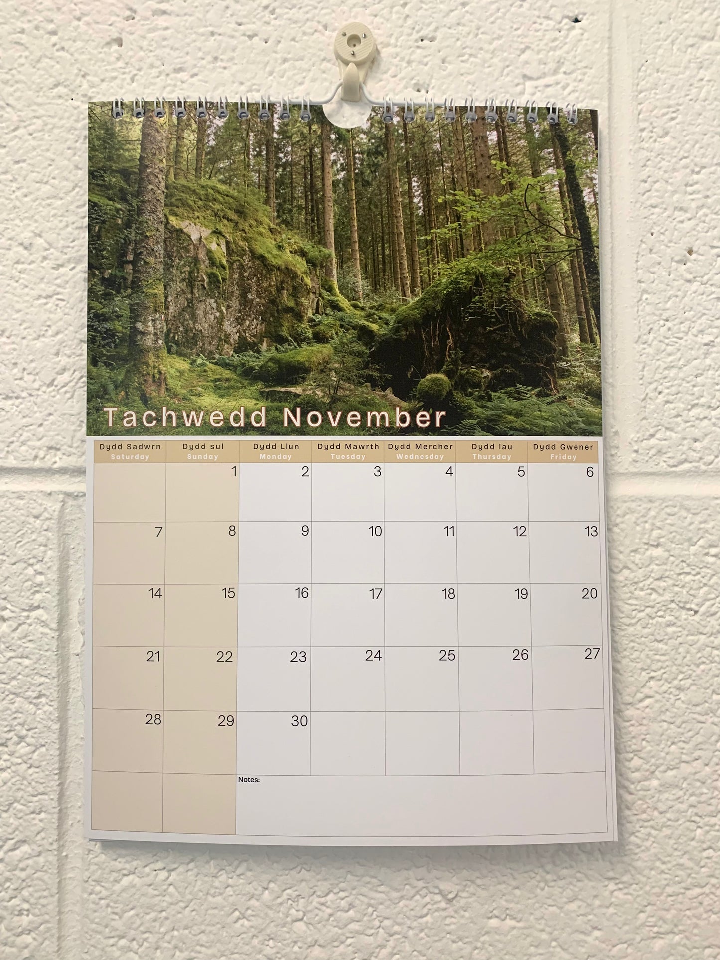 A4 Calendar