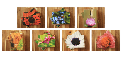 Lucky dip card box